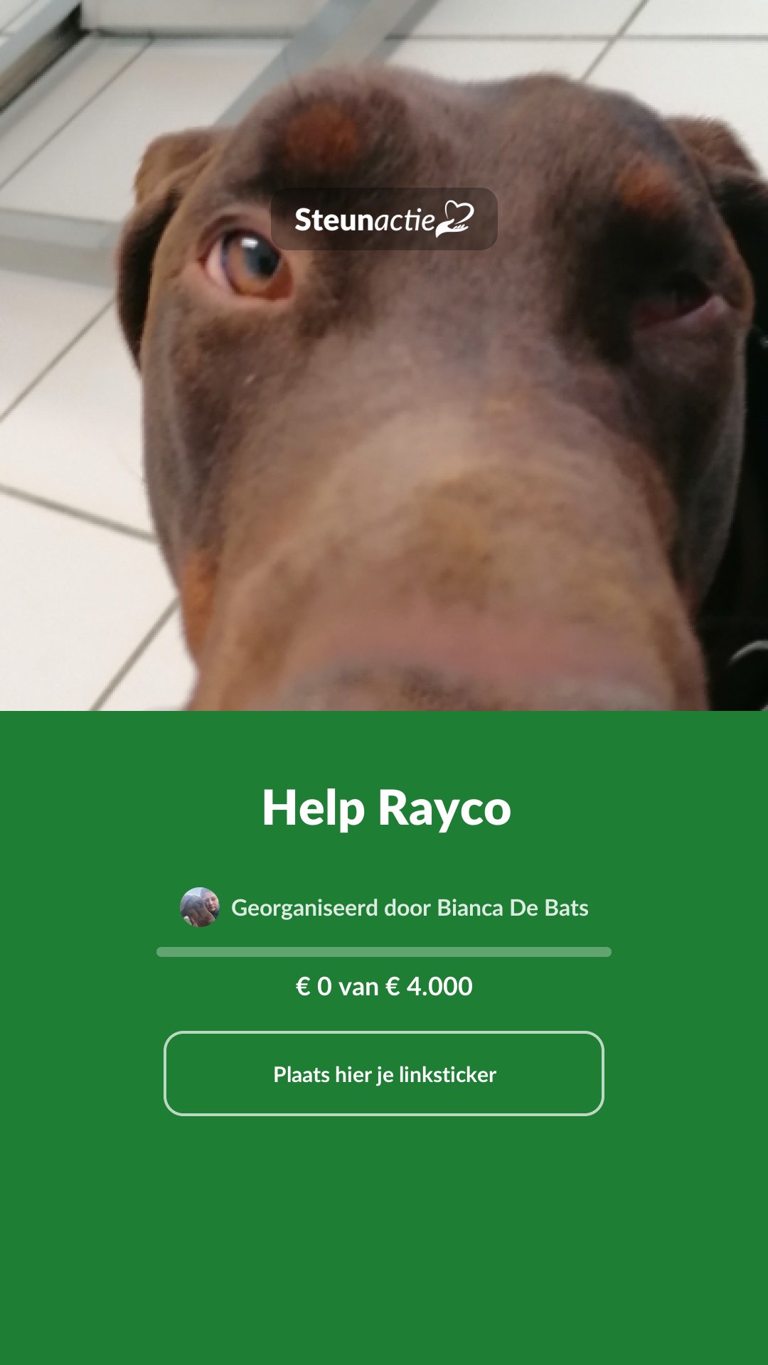 Voorbeeld van de afbeelding