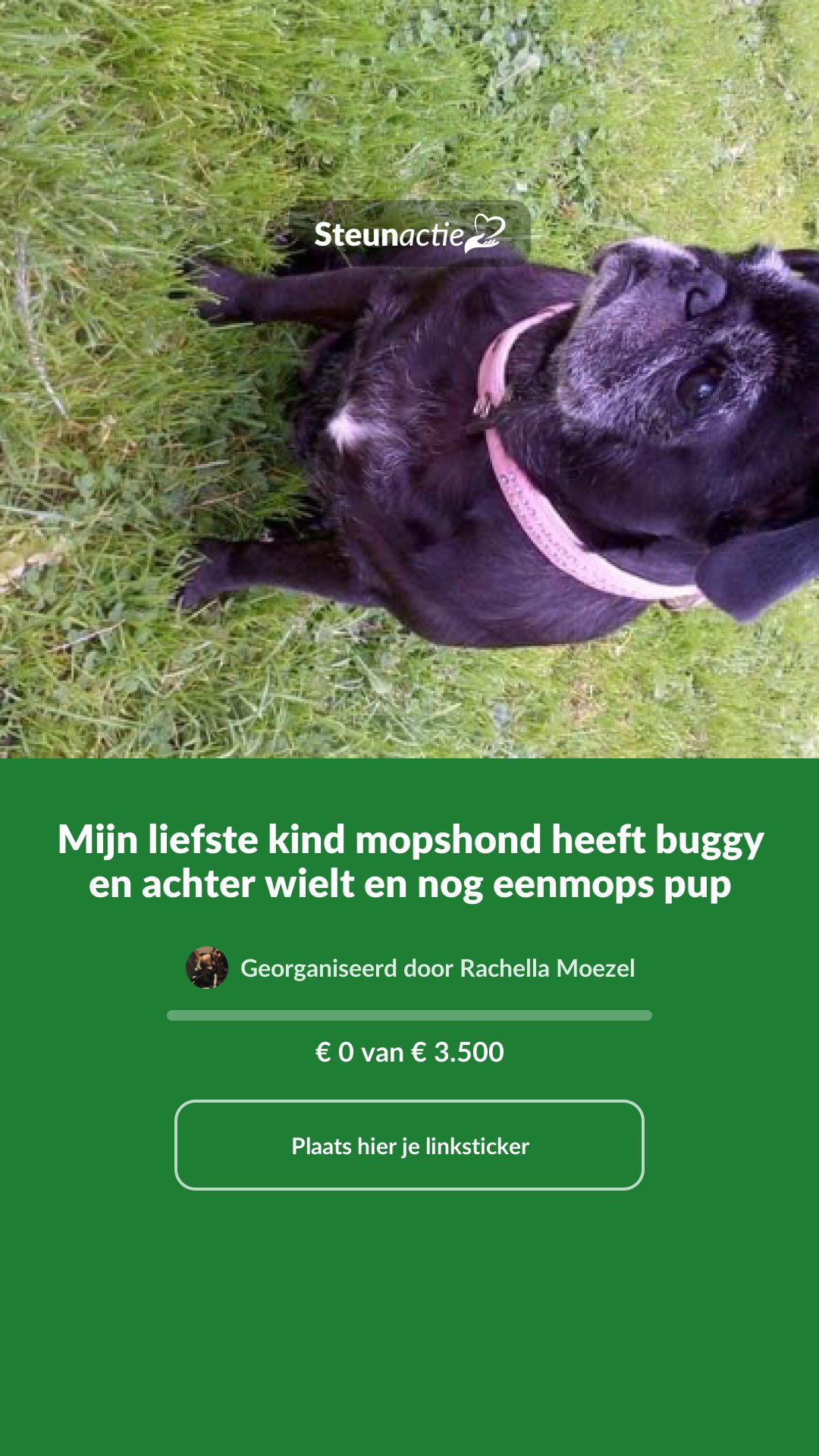 Voorbeeld van de afbeelding