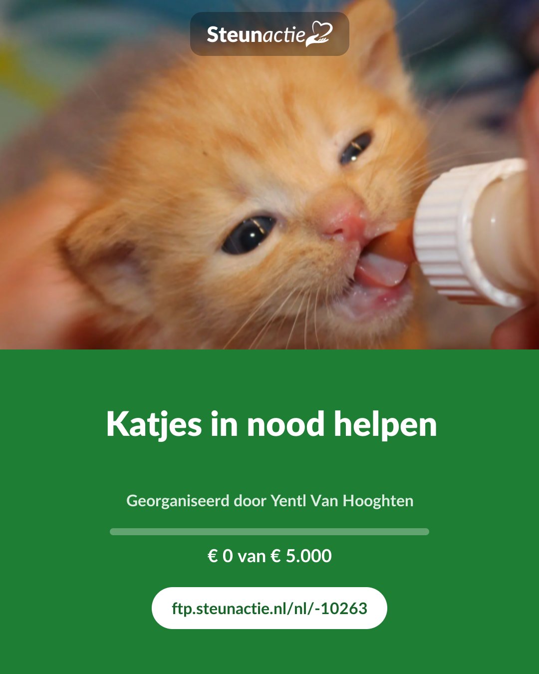 Voorbeeld van de afbeelding