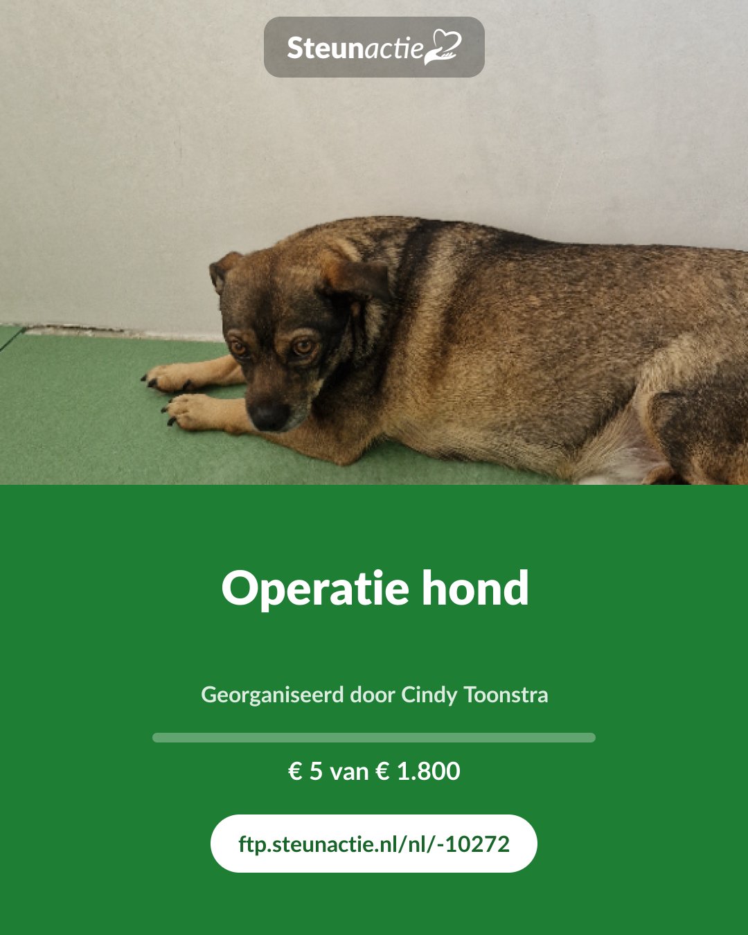 Voorbeeld van de afbeelding