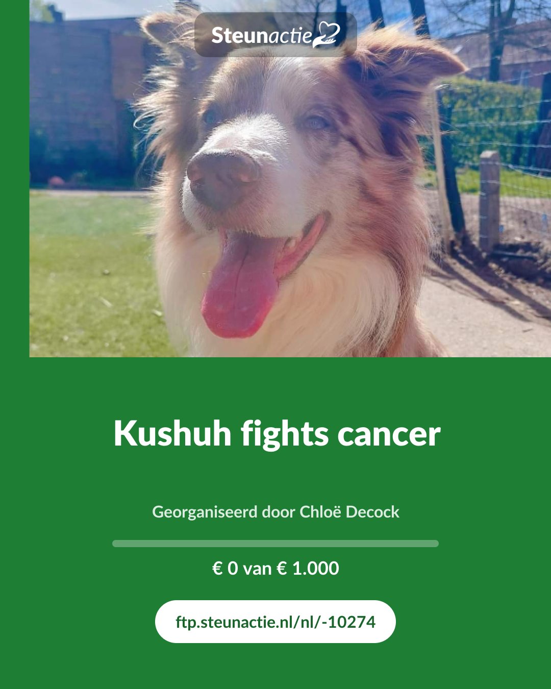 Voorbeeld van de afbeelding