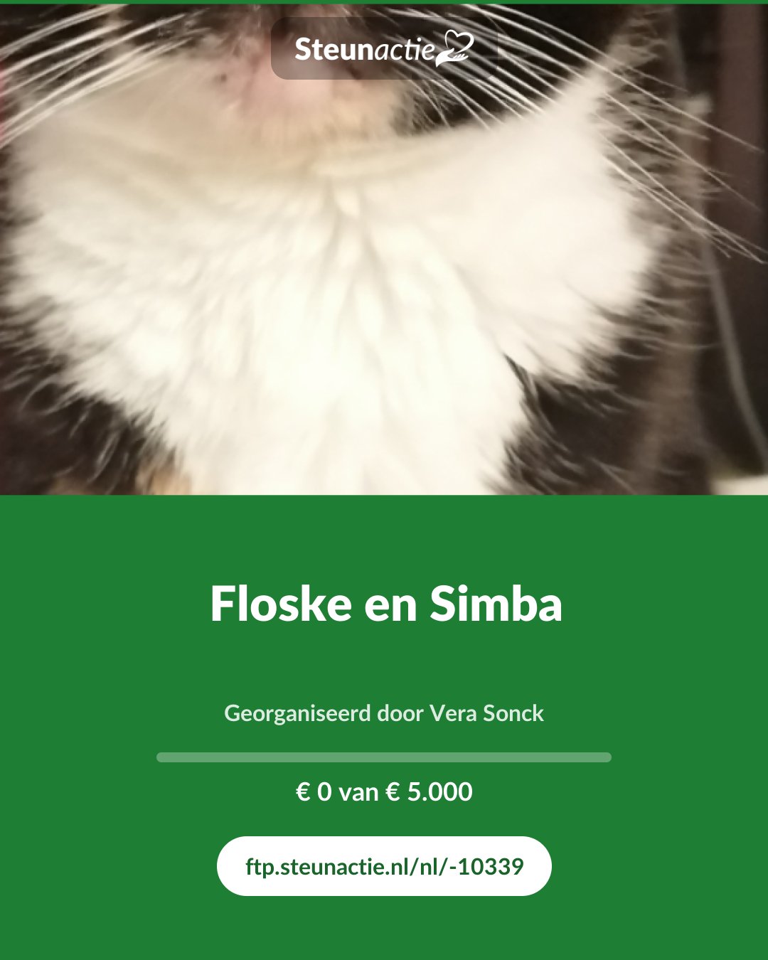 Voorbeeld van de afbeelding