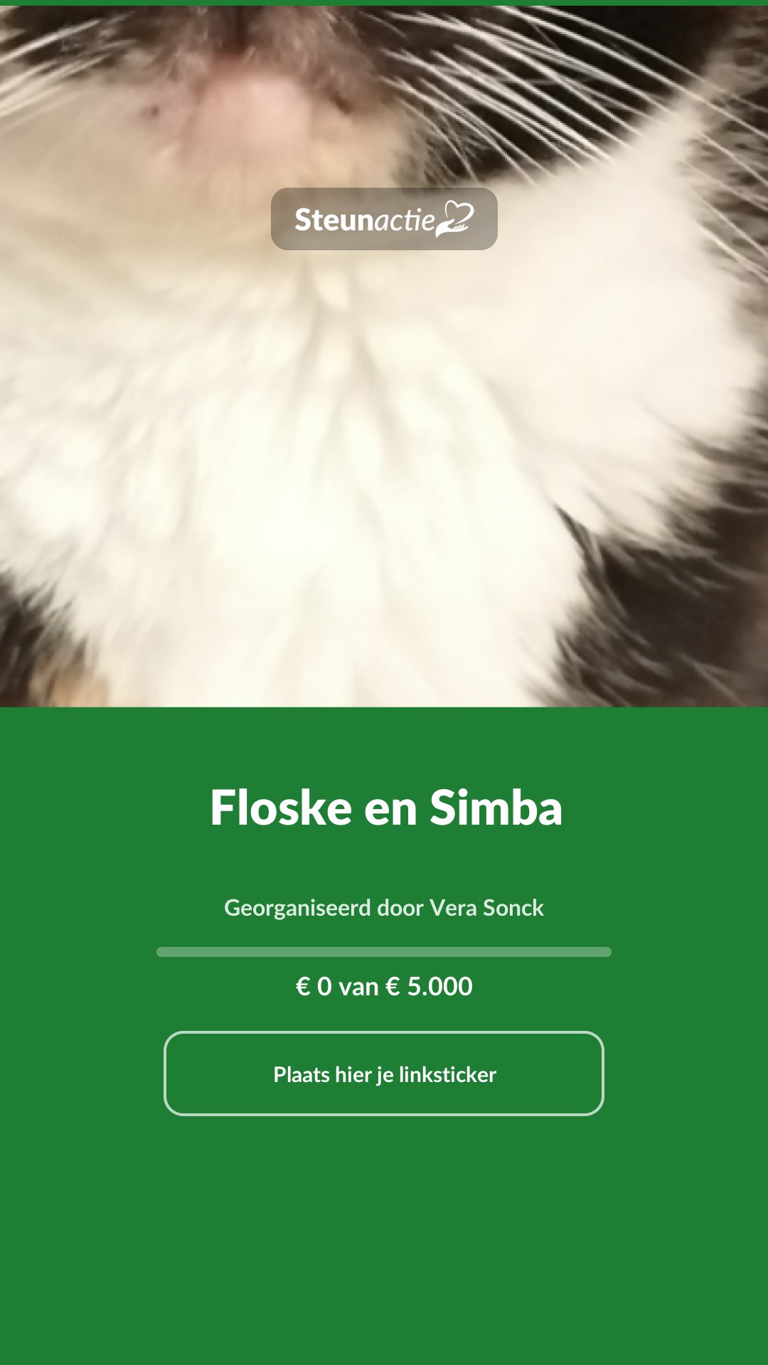 Voorbeeld van de afbeelding