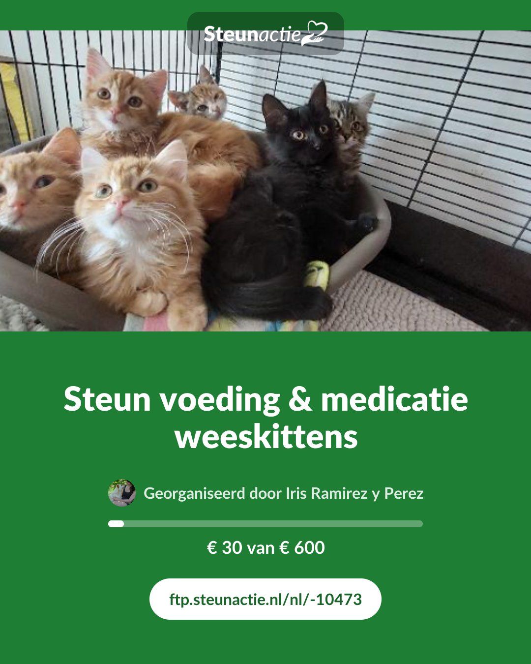 Voorbeeld van de afbeelding