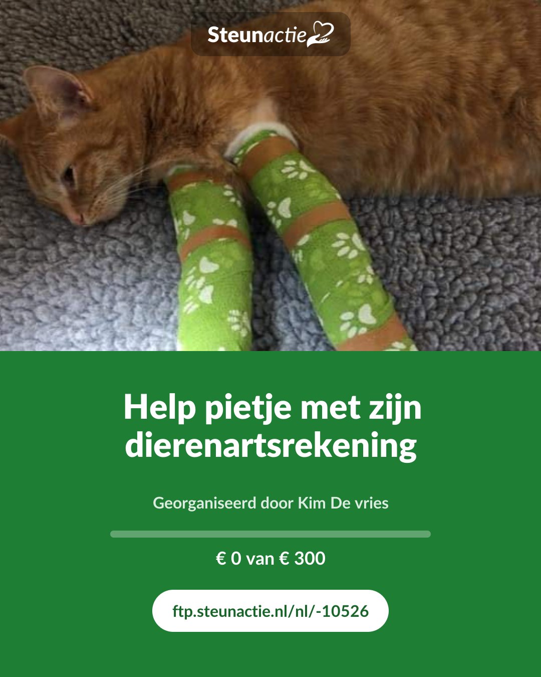 Voorbeeld van de afbeelding