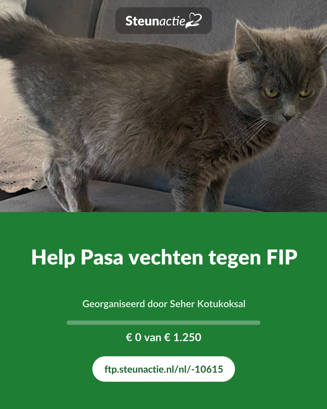Voorbeeld van de afbeelding