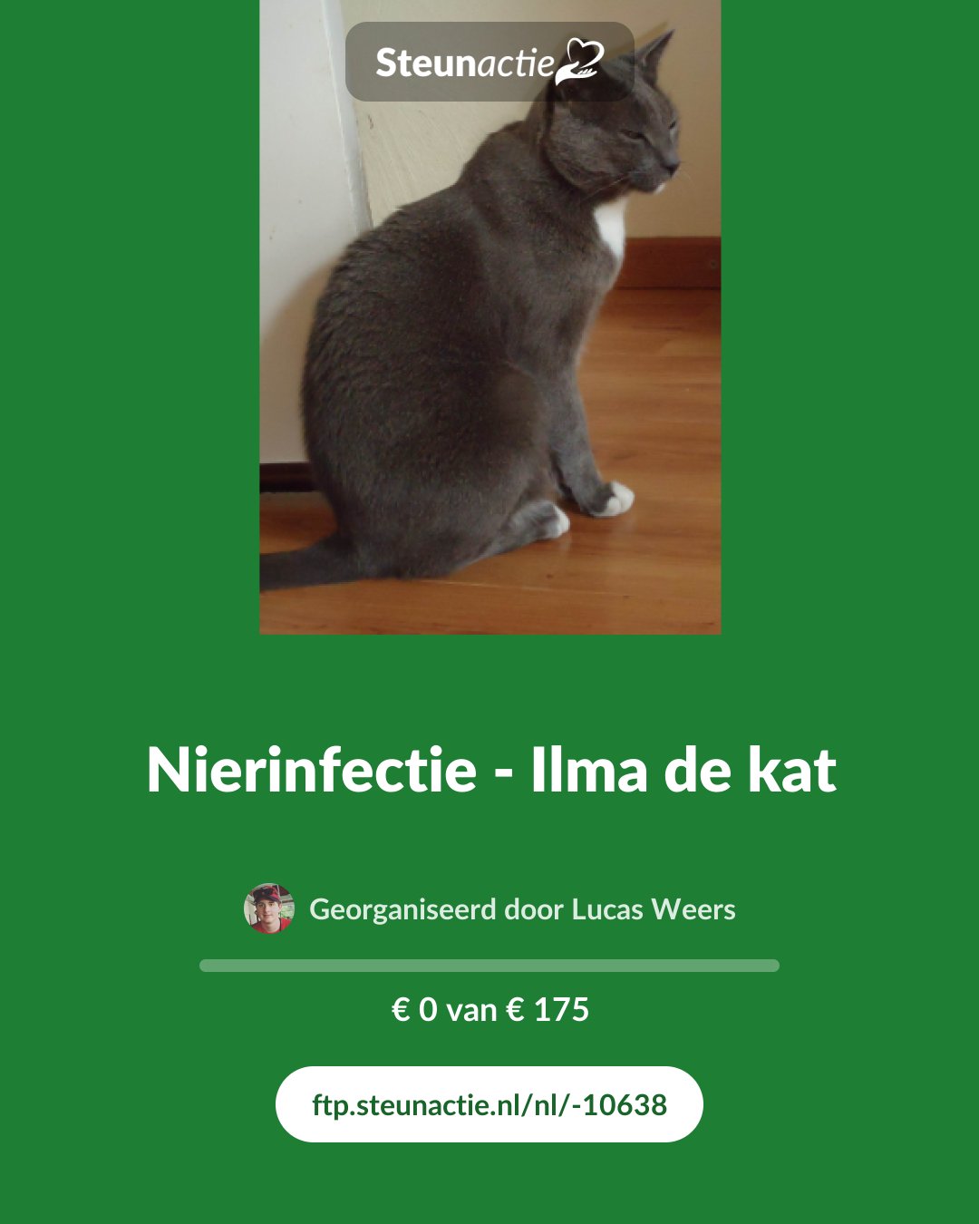 Voorbeeld van de afbeelding