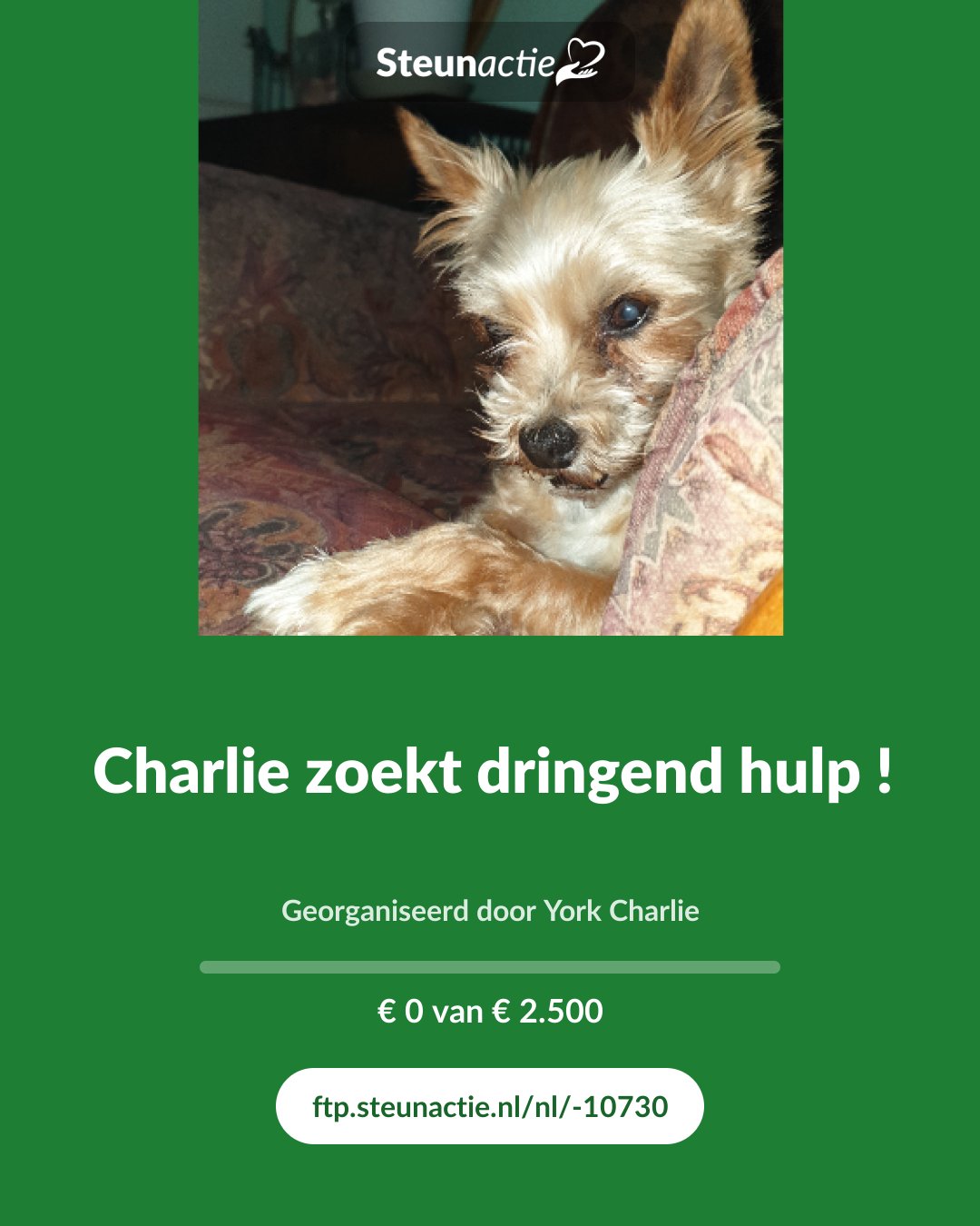 Voorbeeld van de afbeelding