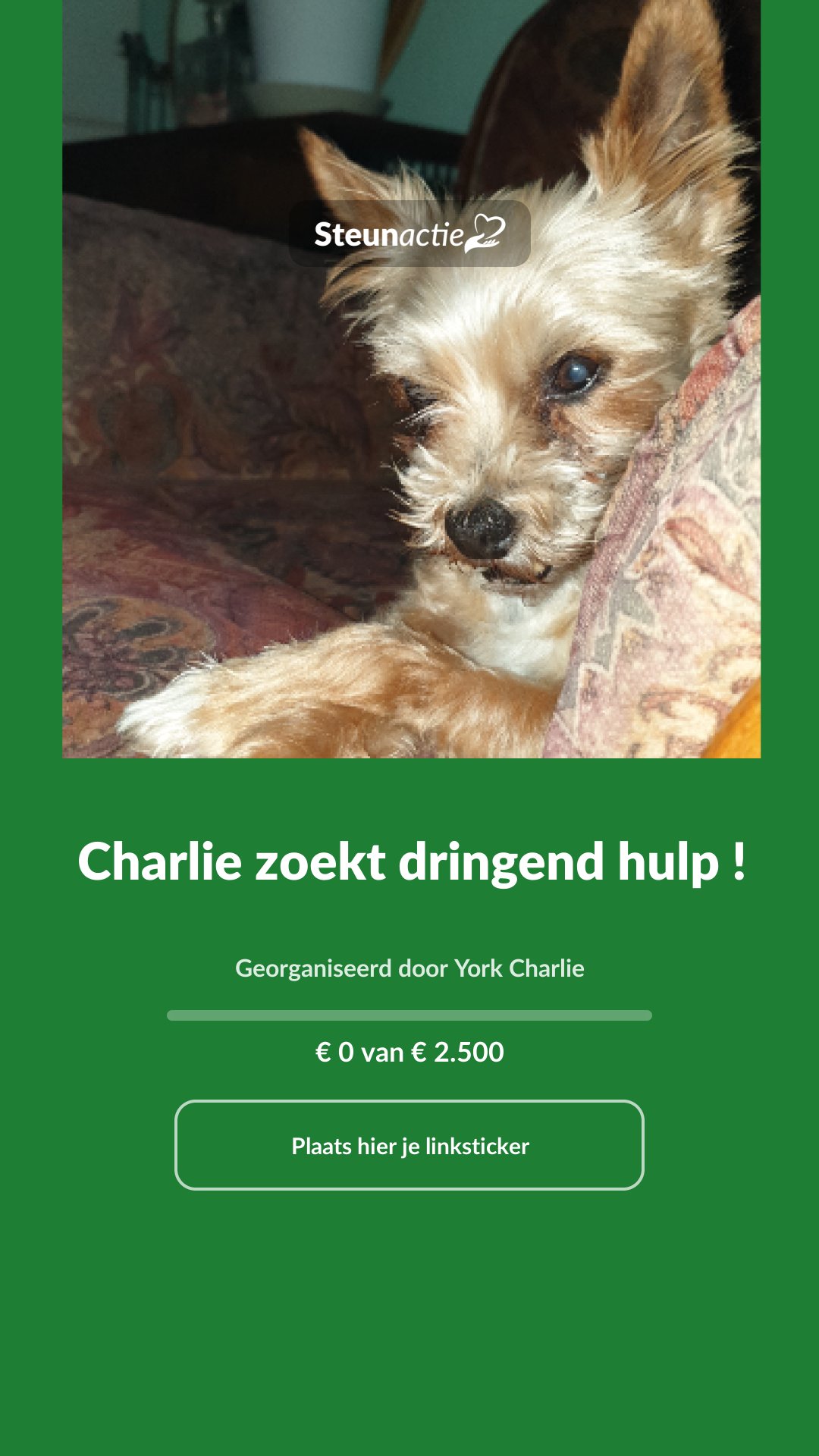 Voorbeeld van de afbeelding