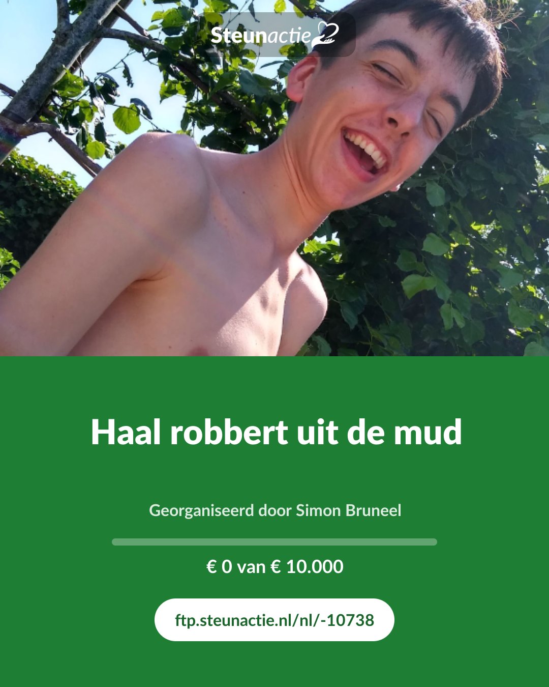 Voorbeeld van de afbeelding