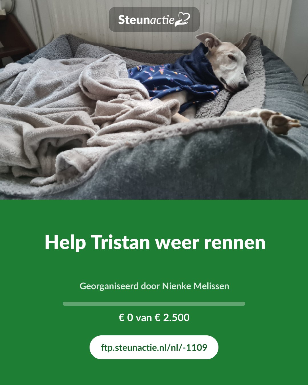 Voorbeeld van de afbeelding