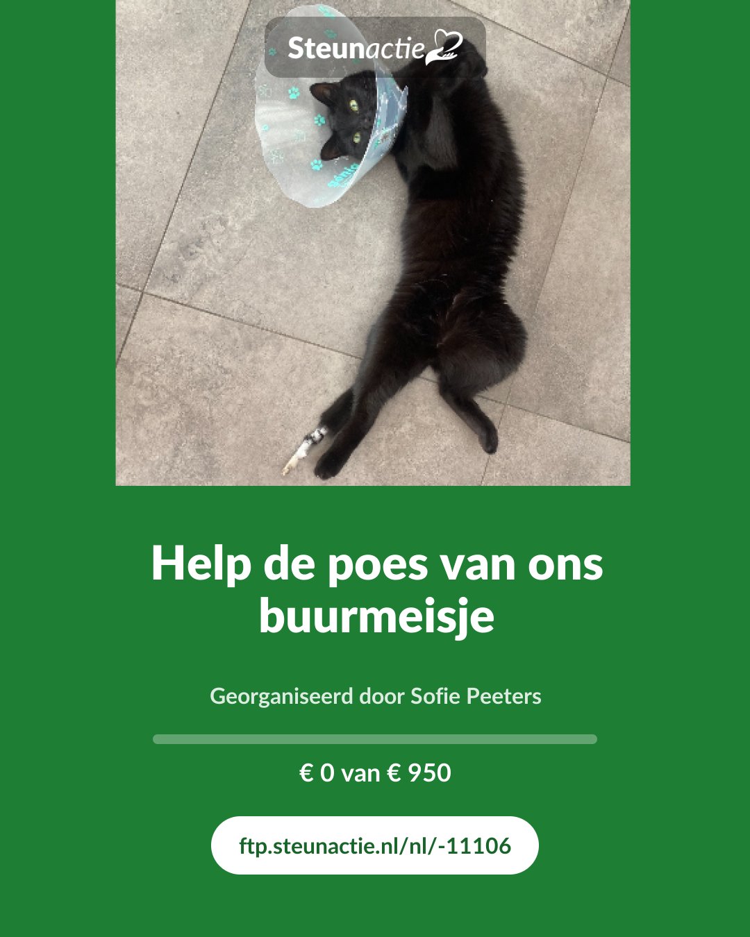Voorbeeld van de afbeelding