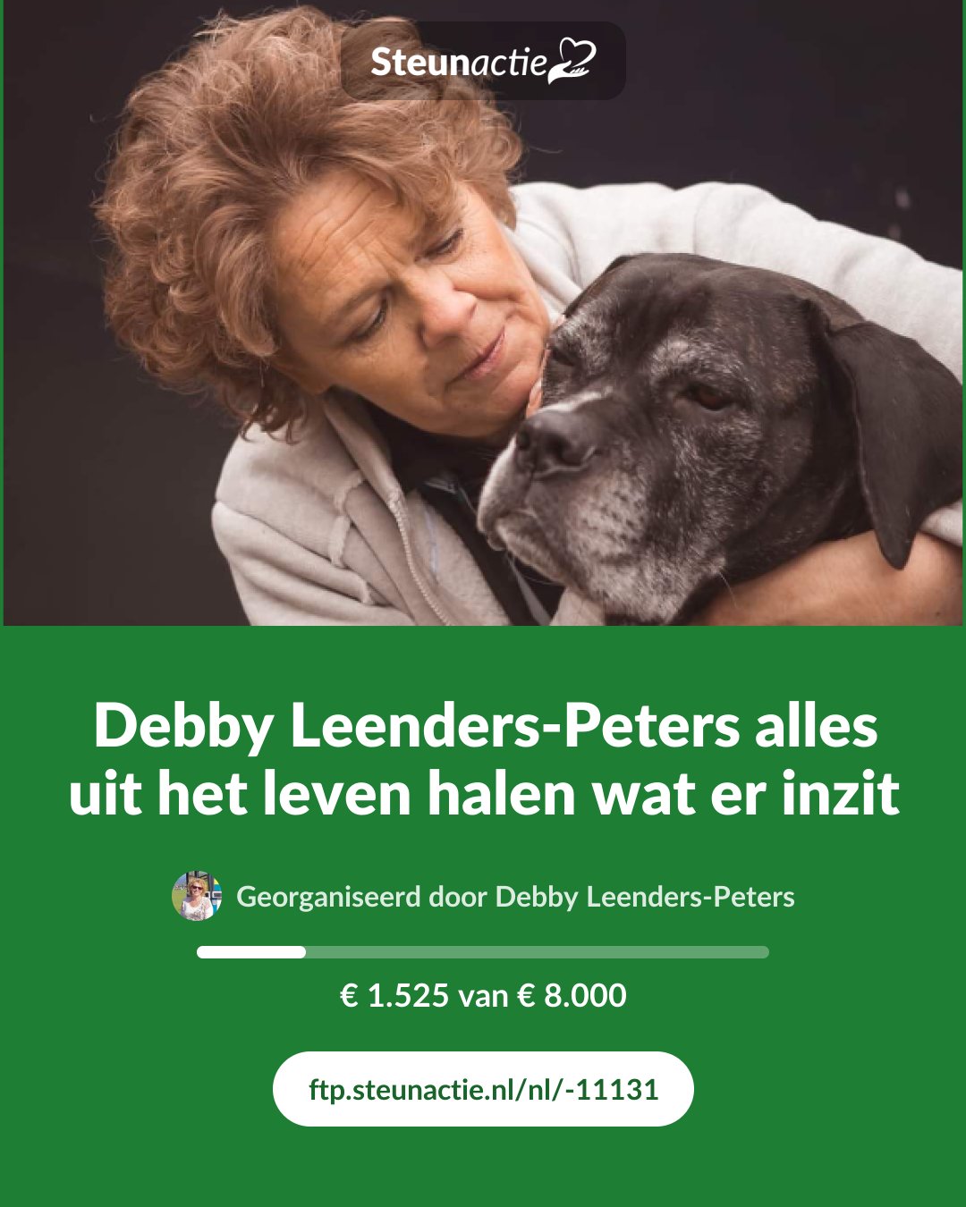 Voorbeeld van de afbeelding