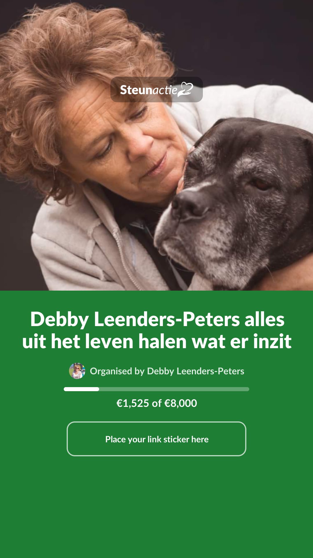 Preview of the image