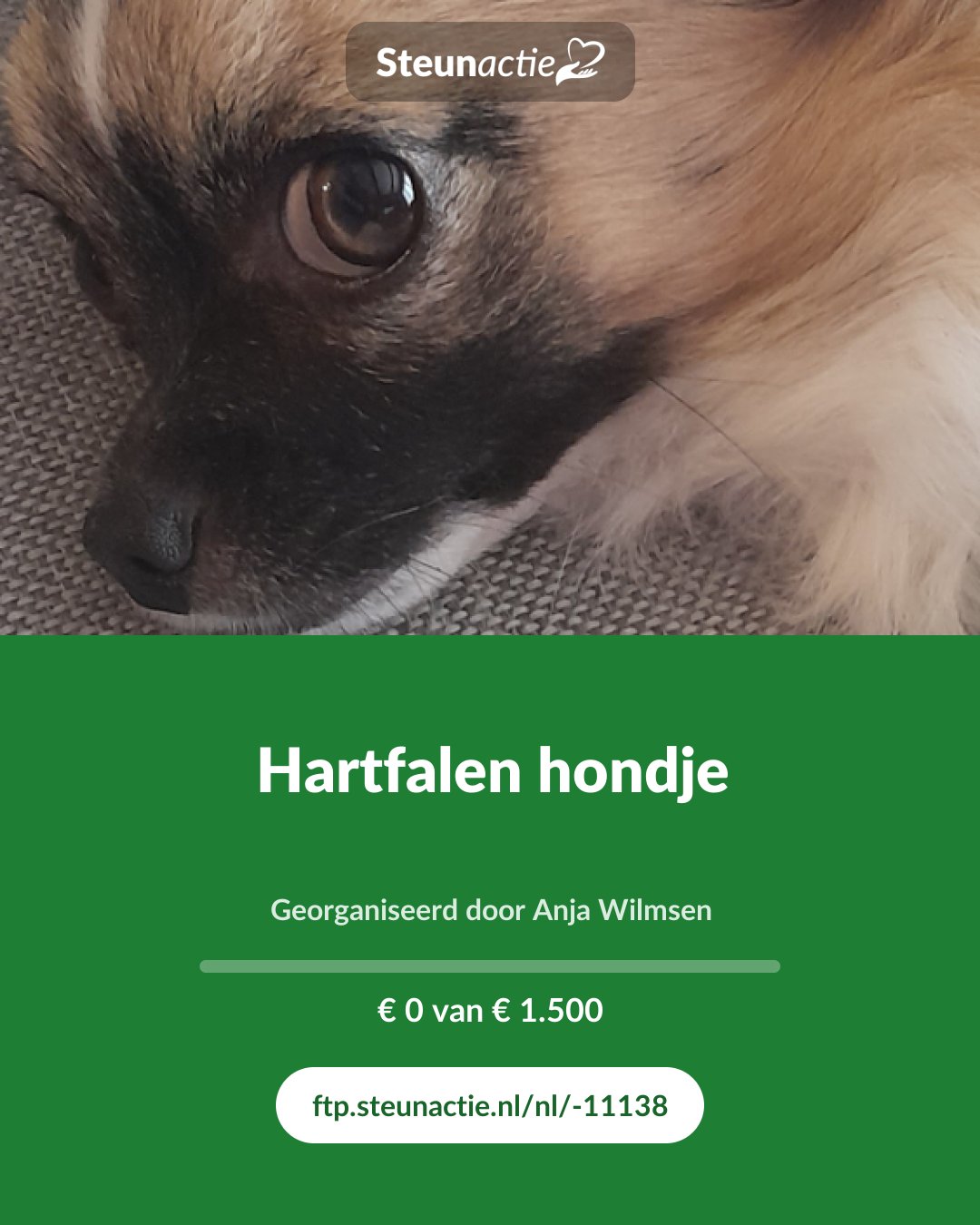 Voorbeeld van de afbeelding
