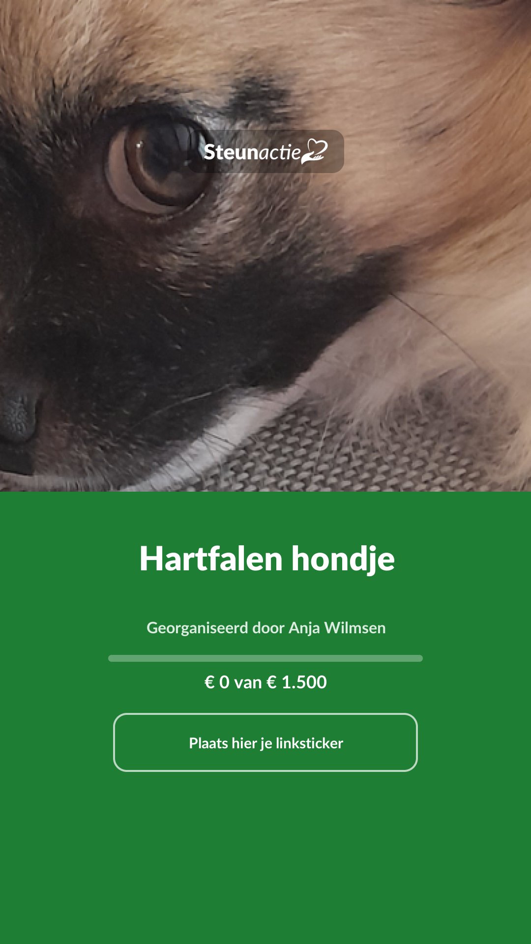 Voorbeeld van de afbeelding