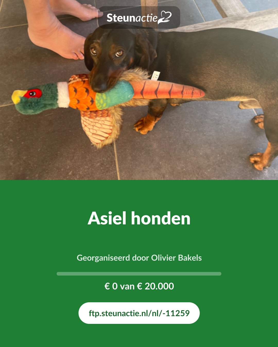 Voorbeeld van de afbeelding