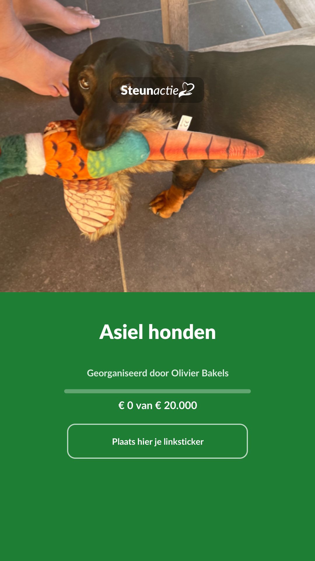 Voorbeeld van de afbeelding