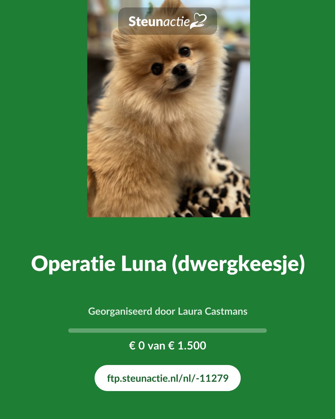 Voorbeeld van de afbeelding