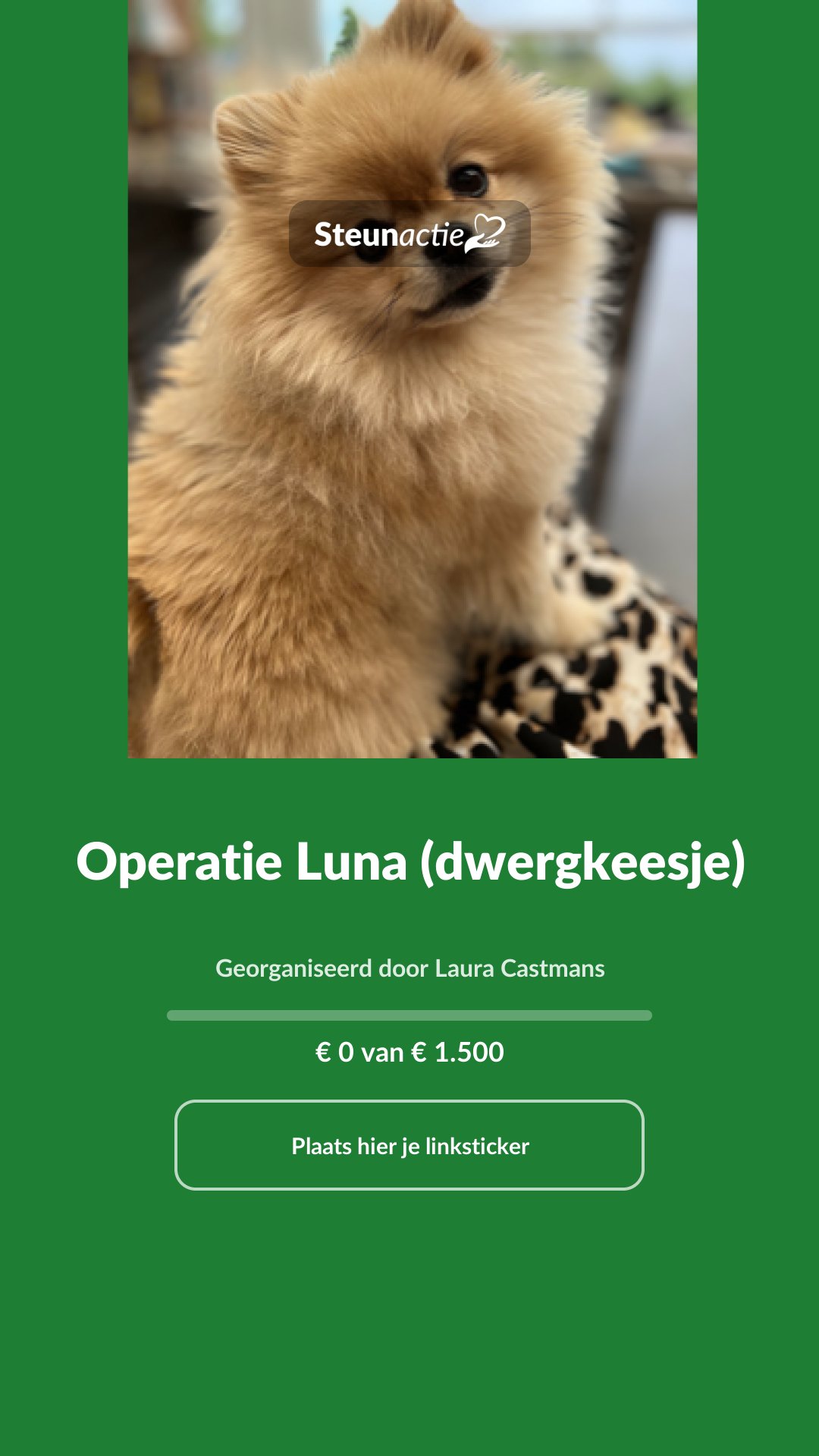 Voorbeeld van de afbeelding