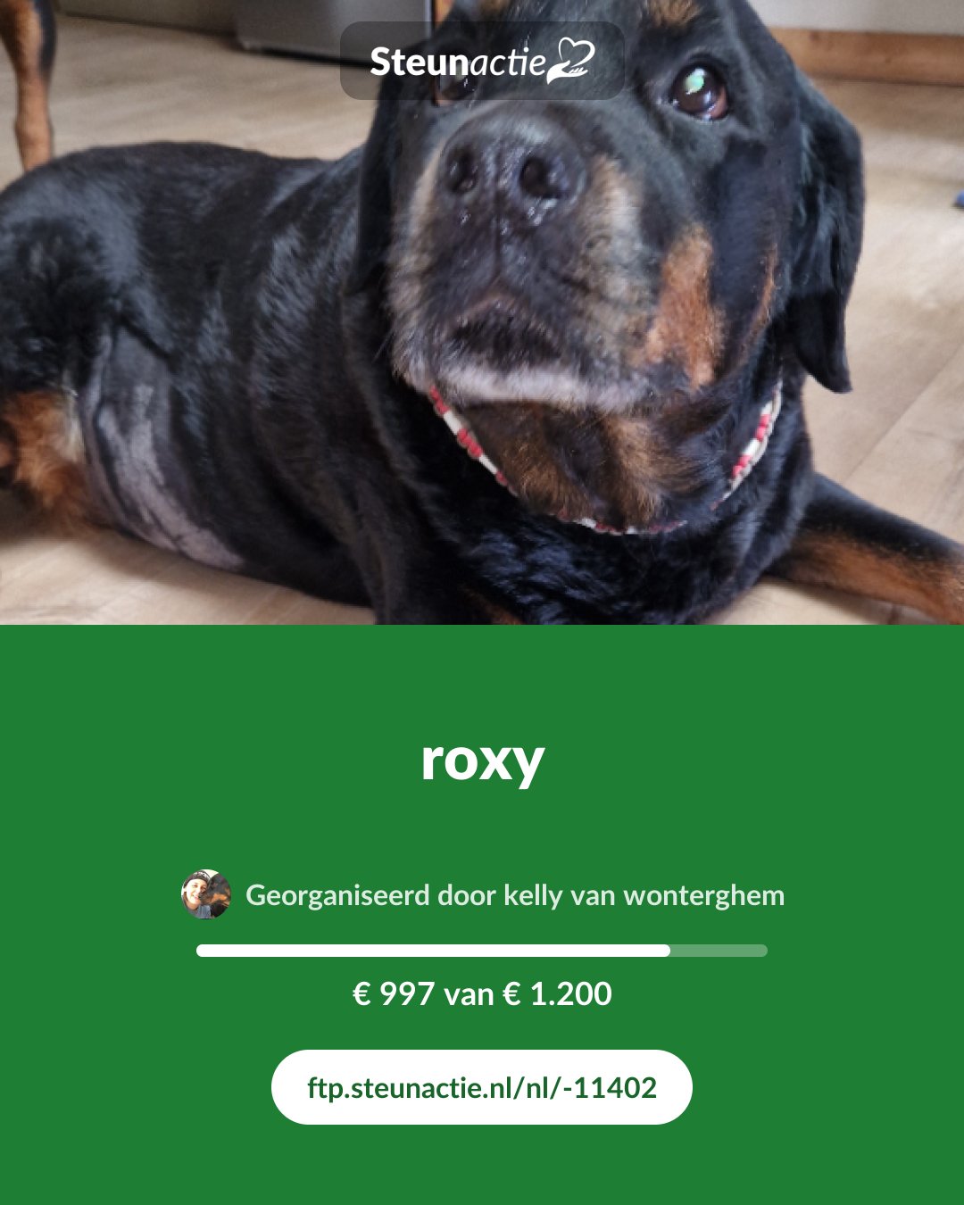 Voorbeeld van de afbeelding