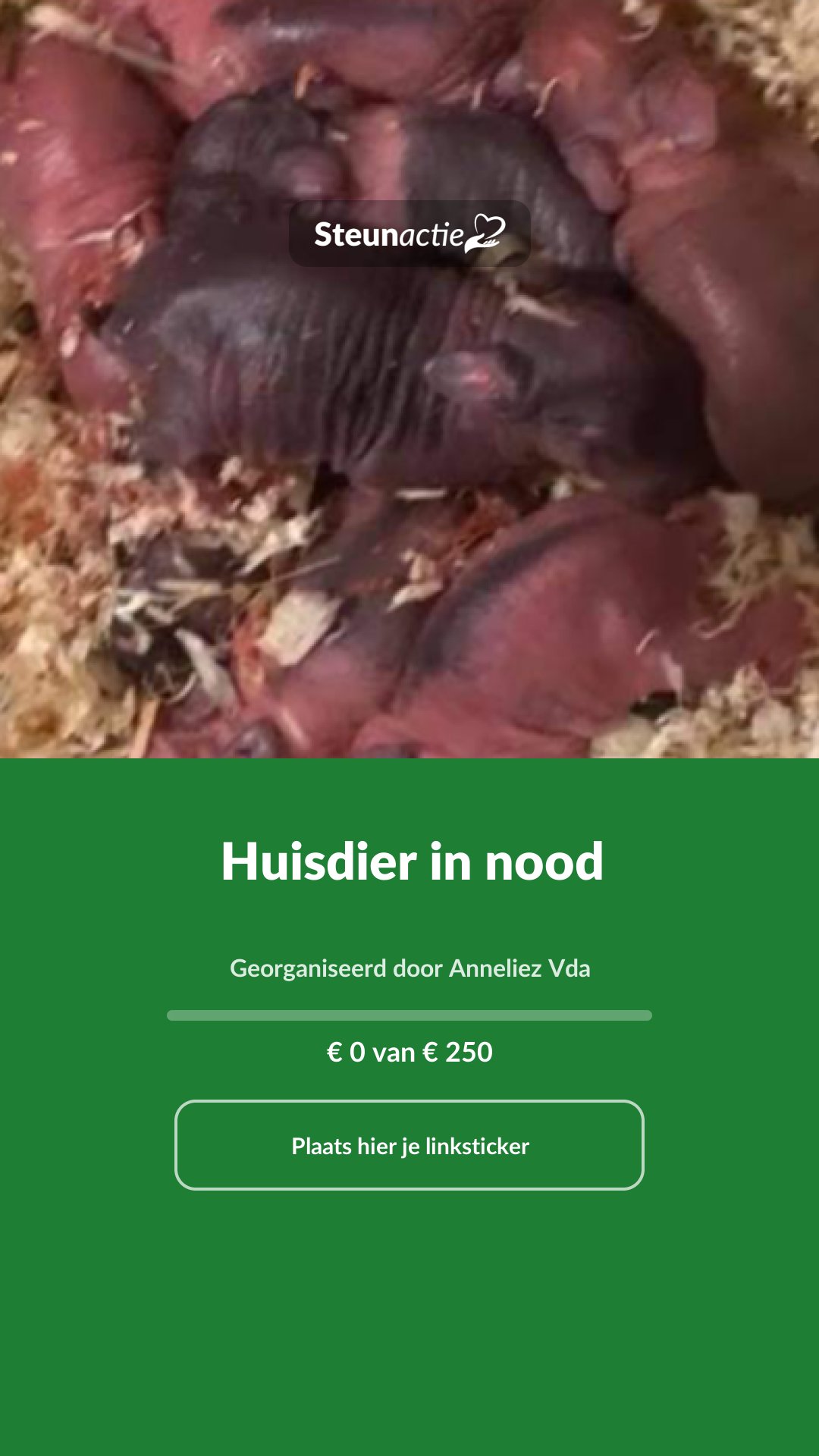 Voorbeeld van de afbeelding