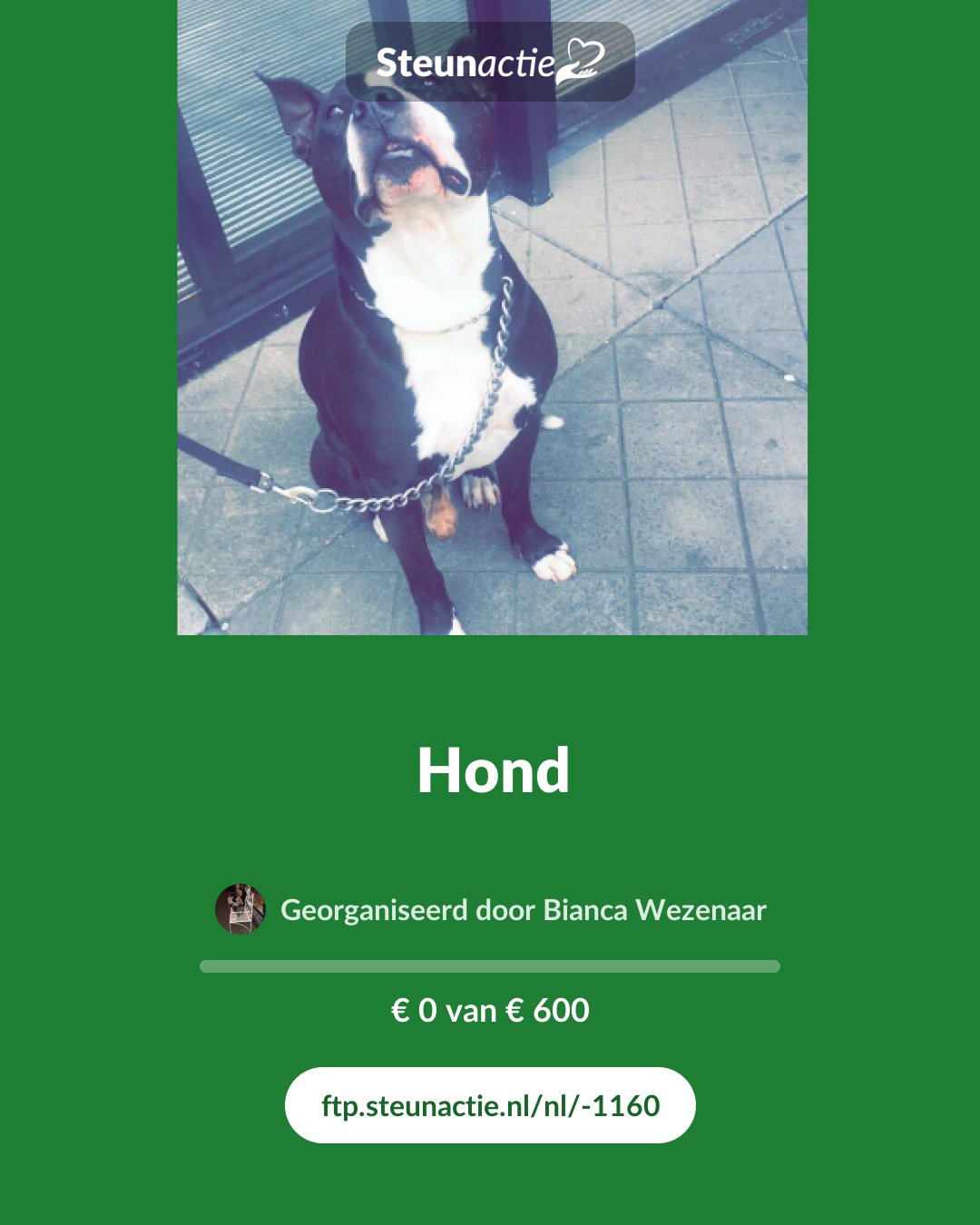 Voorbeeld van de afbeelding