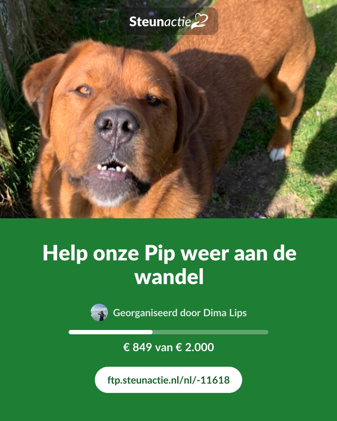 Voorbeeld van de afbeelding