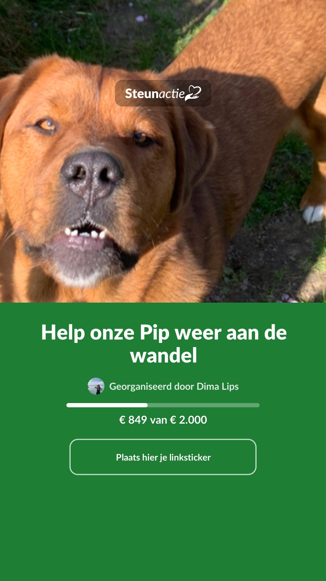 Voorbeeld van de afbeelding