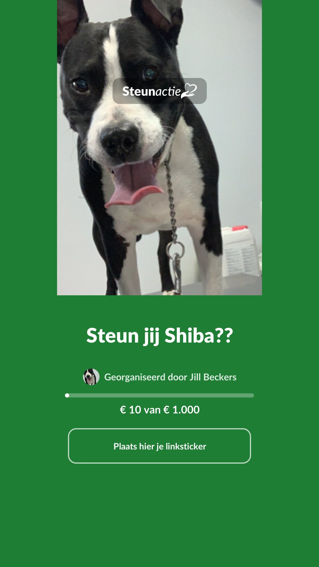Voorbeeld van de afbeelding