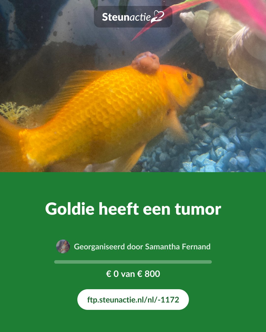 Voorbeeld van de afbeelding