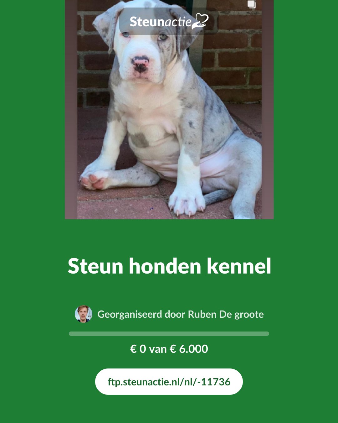 Voorbeeld van de afbeelding
