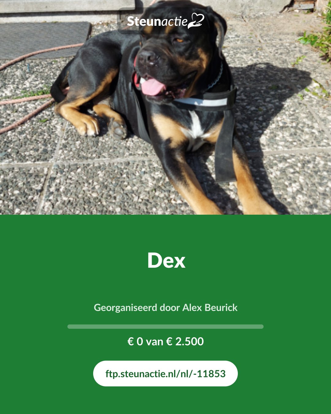 Voorbeeld van de afbeelding