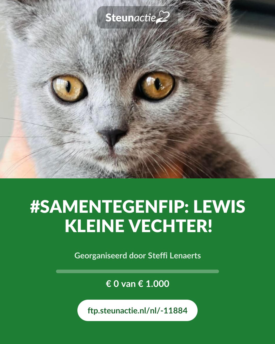 Voorbeeld van de afbeelding
