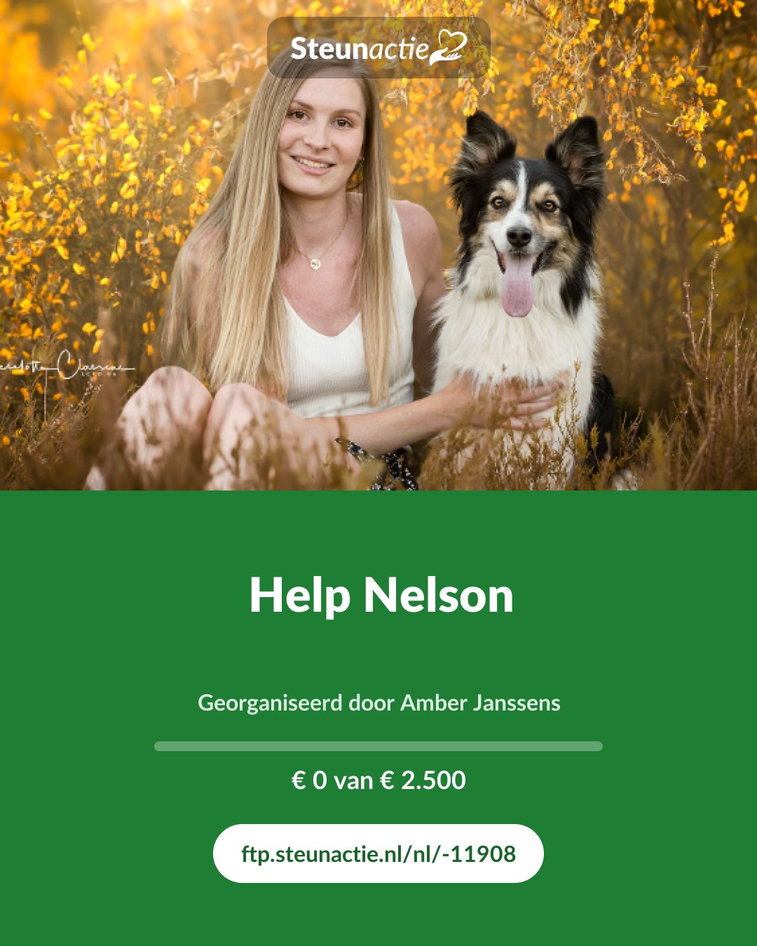 Voorbeeld van de afbeelding