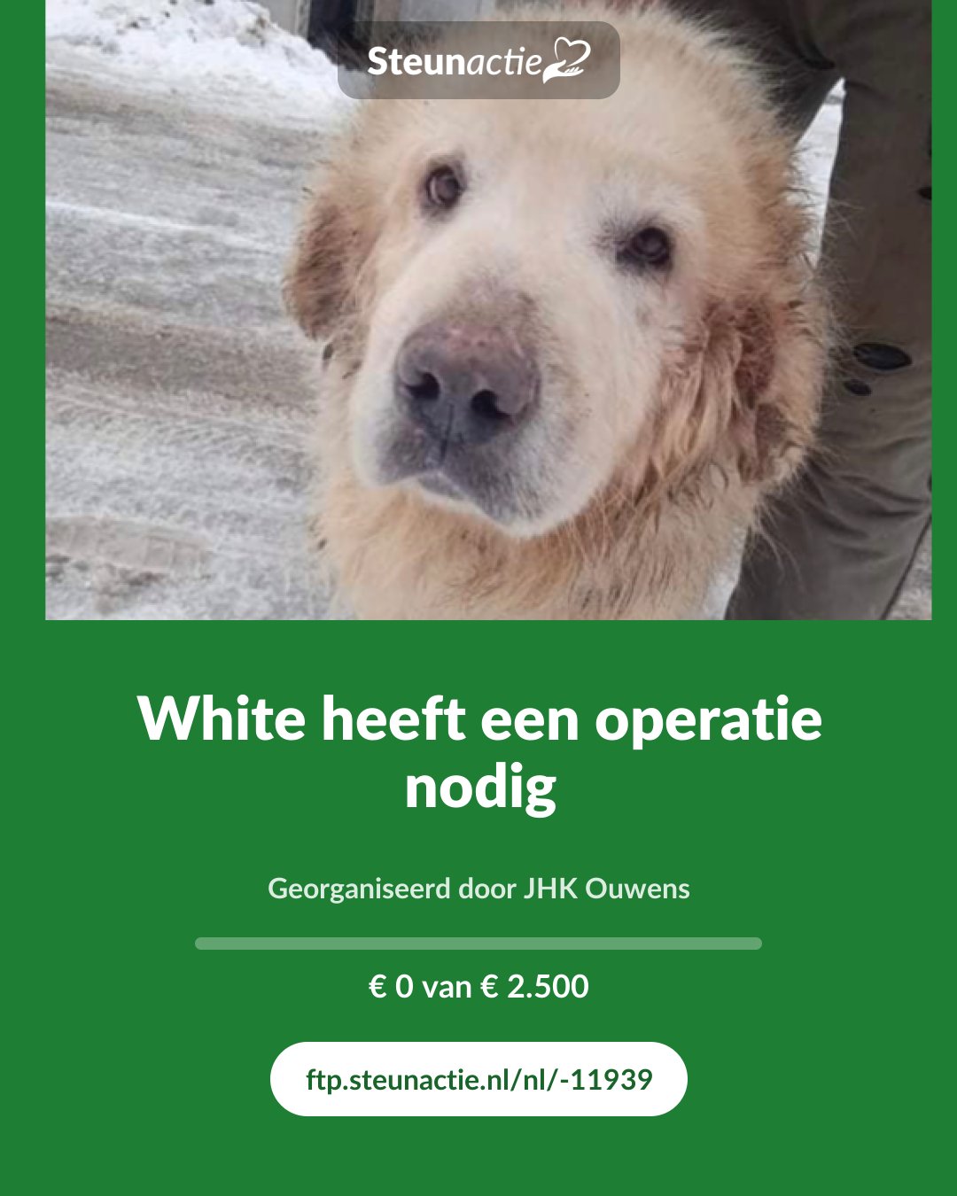 Voorbeeld van de afbeelding