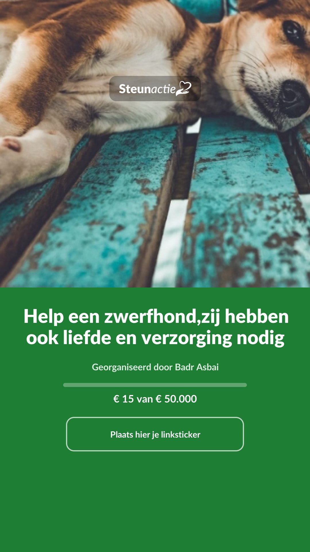 Voorbeeld van de afbeelding