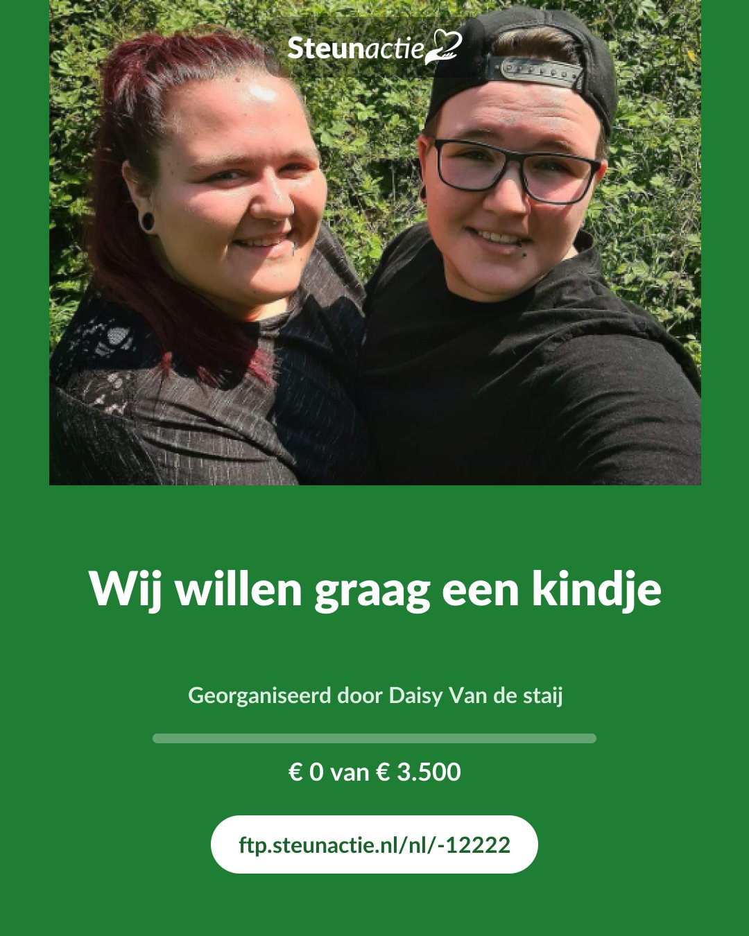 Voorbeeld van de afbeelding