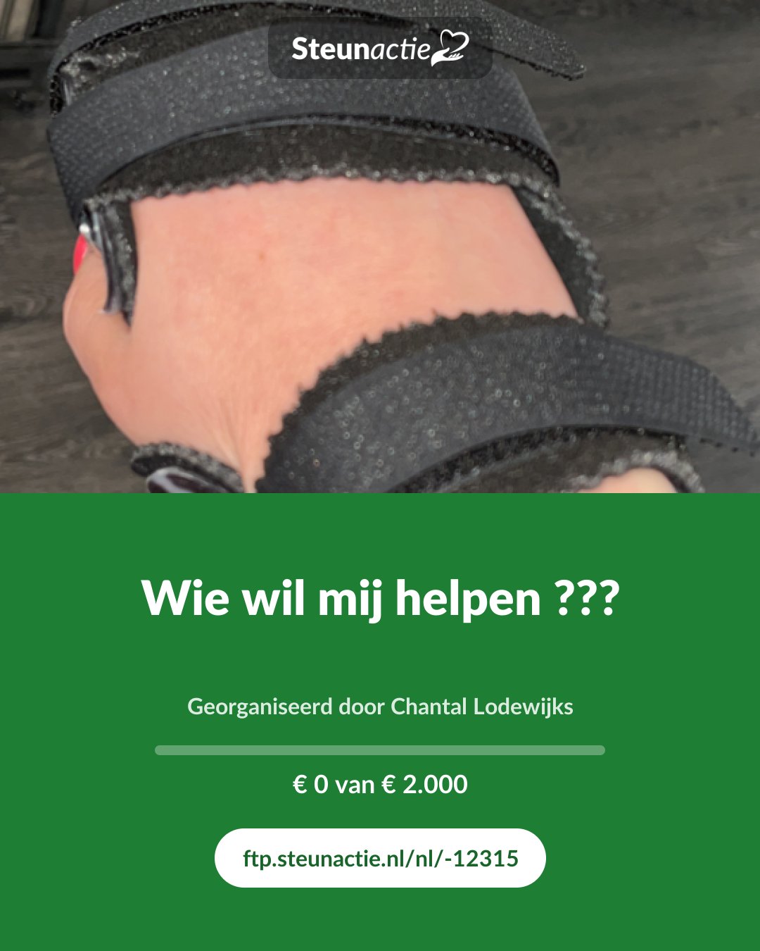 Voorbeeld van de afbeelding