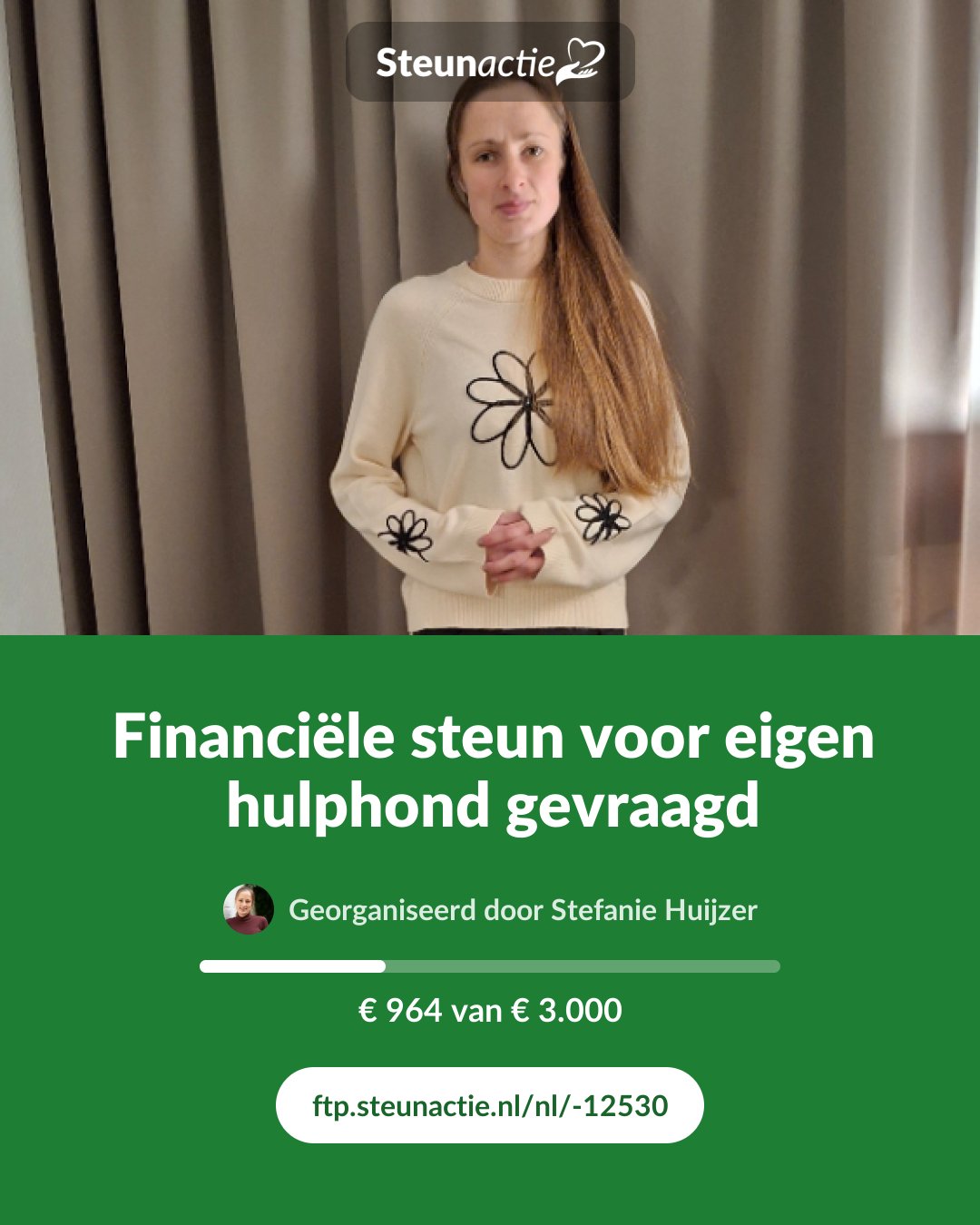 Voorbeeld van de afbeelding