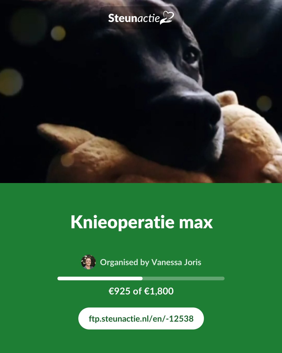 Preview of the image