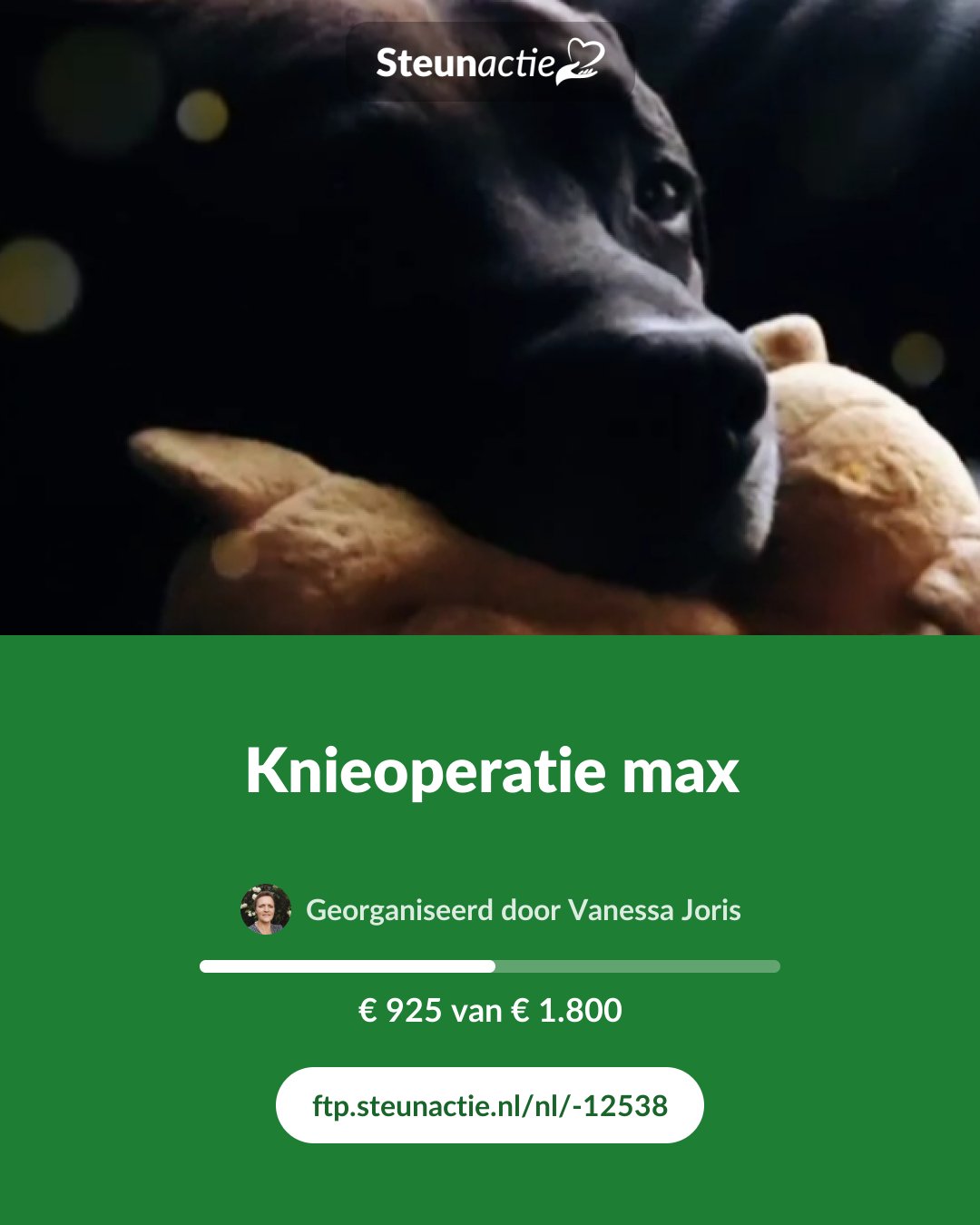 Voorbeeld van de afbeelding