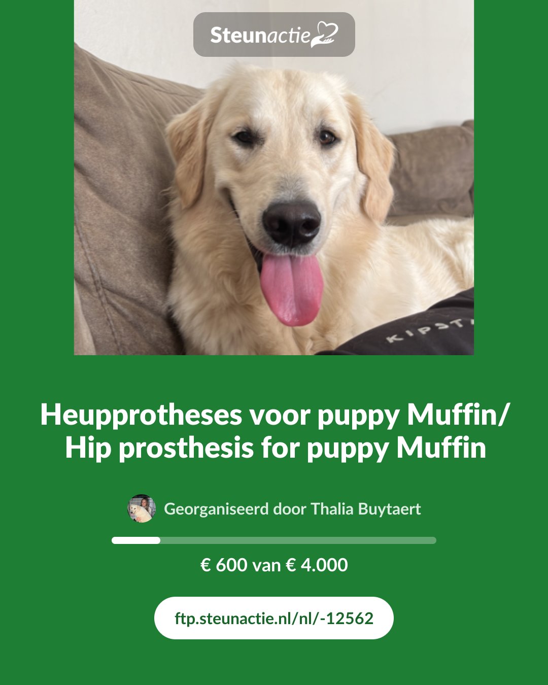 Voorbeeld van de afbeelding