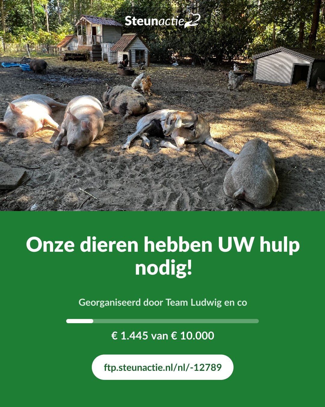 Voorbeeld van de afbeelding