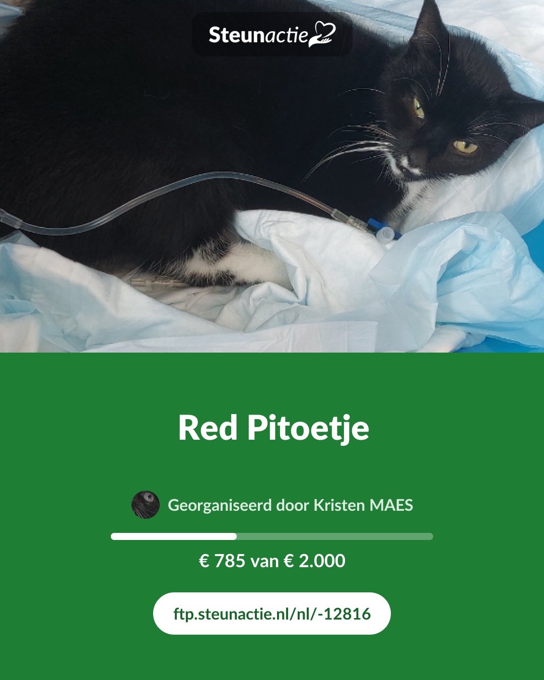Voorbeeld van de afbeelding