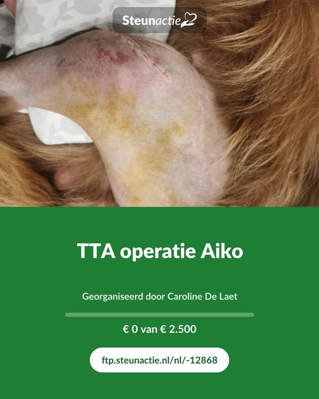 Voorbeeld van de afbeelding