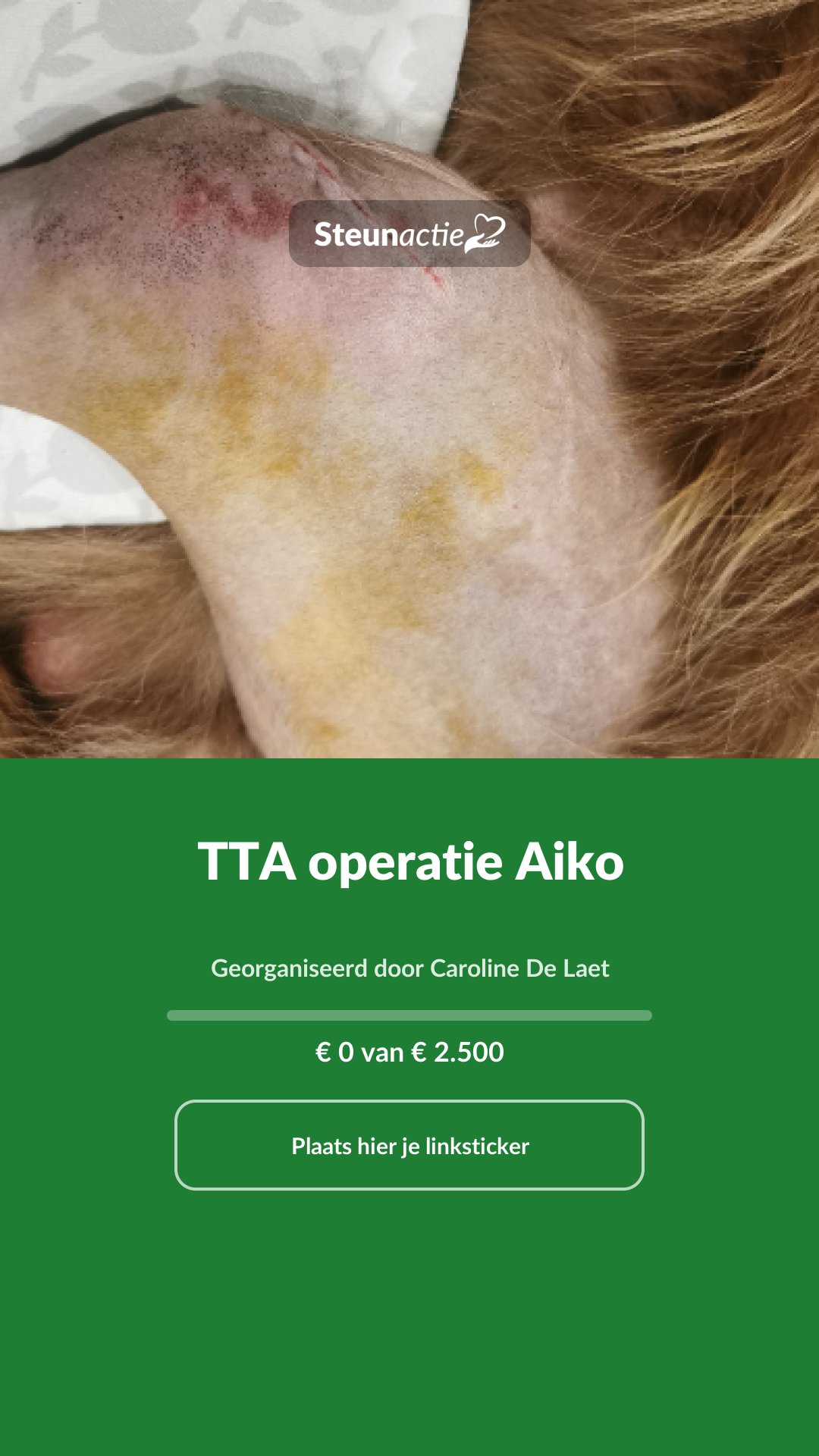 Voorbeeld van de afbeelding