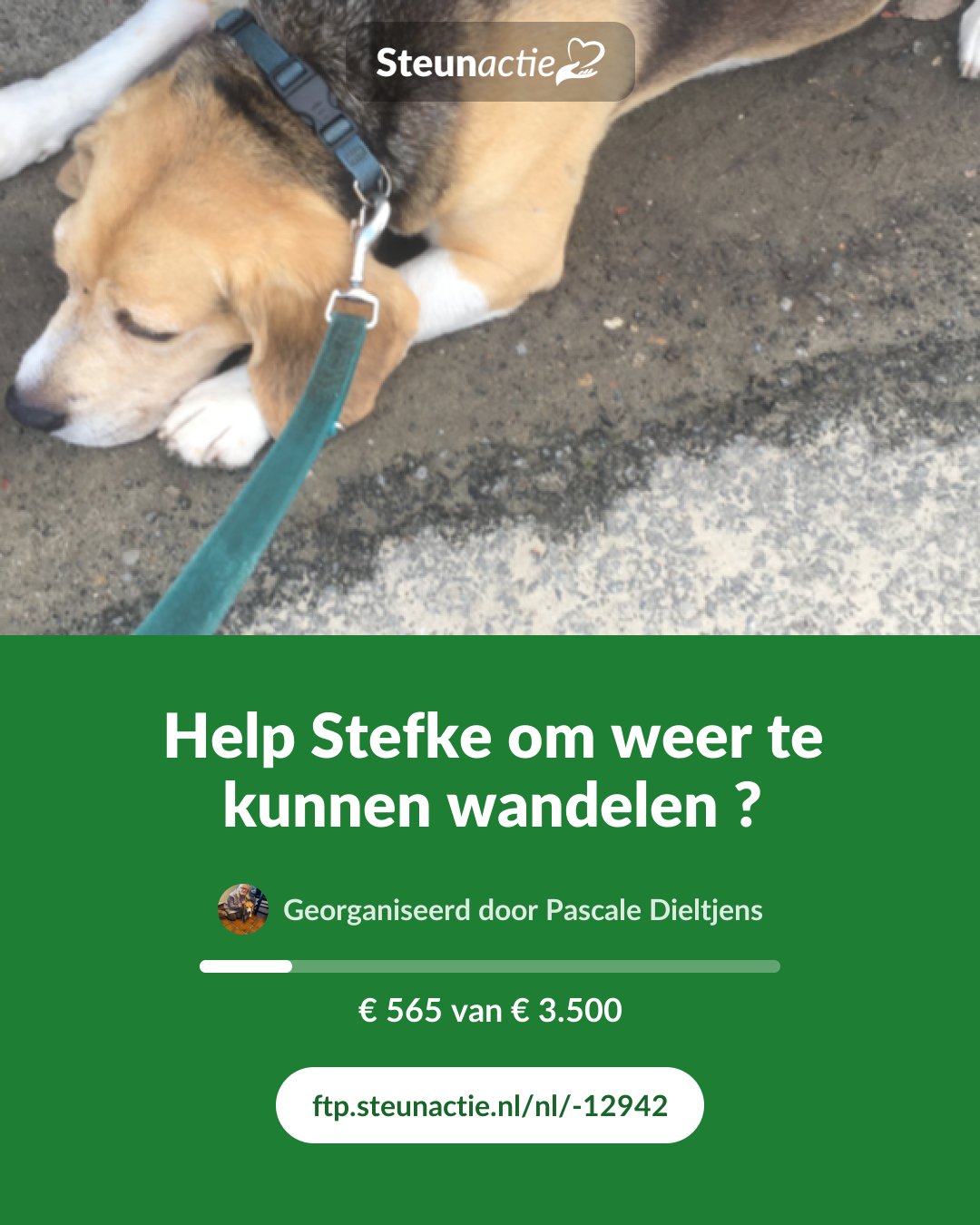 Voorbeeld van de afbeelding