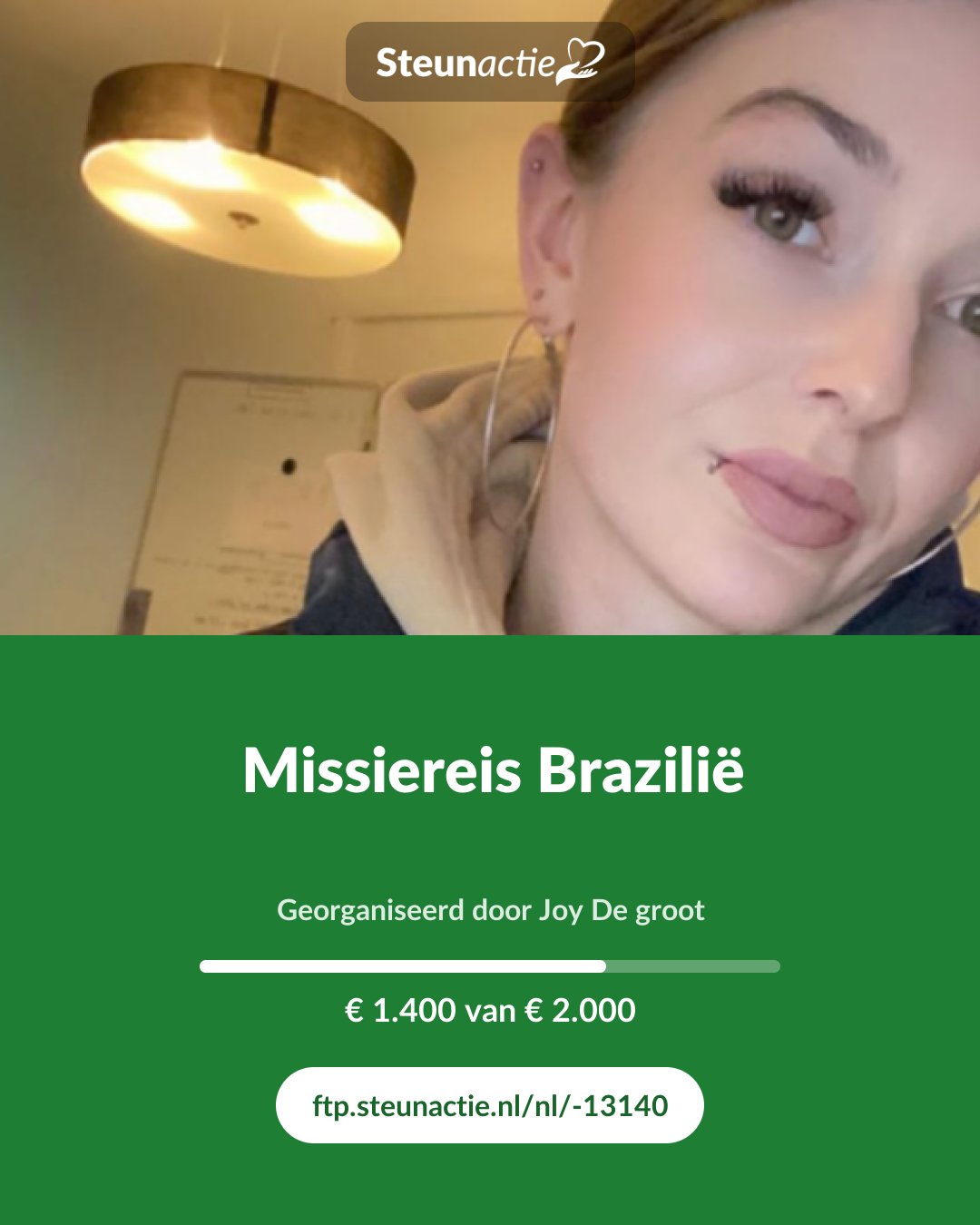 Voorbeeld van de afbeelding
