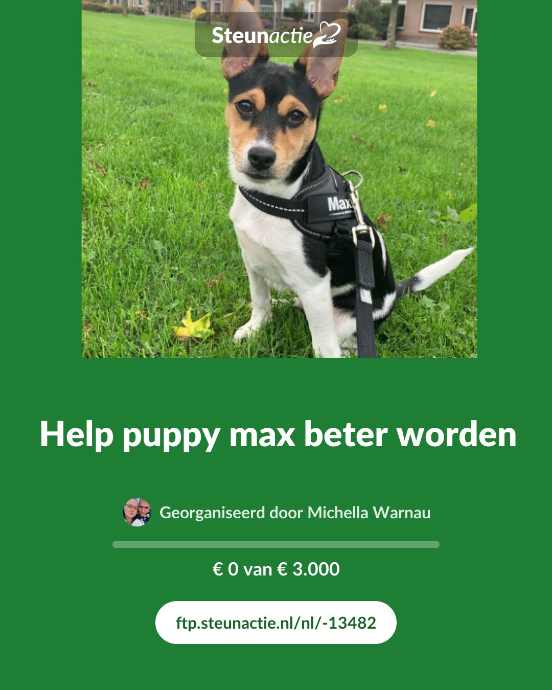 Voorbeeld van de afbeelding